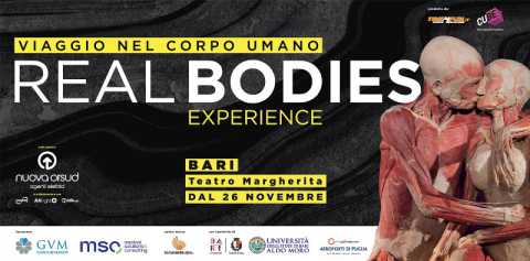 Bari, ''Real Bodies Experience'': al Margherita una mostra sull'anatomia umana